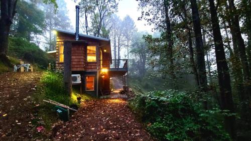 bracken_cabin_brevard_north_carolina_exterior__10