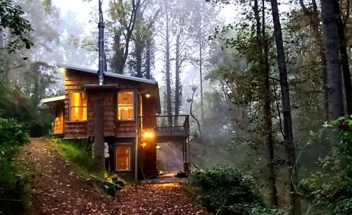 bracken_cabin_brevard_north_carolina_exterior__11