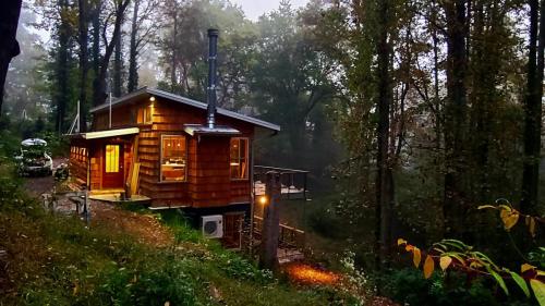 bracken_cabin_brevard_north_carolina_exterior__12