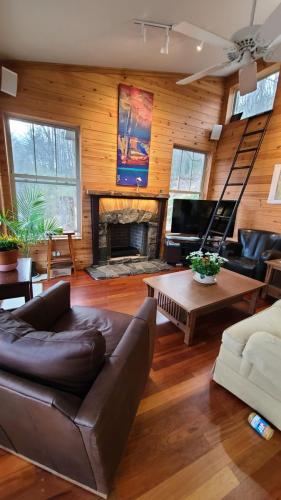 bracken_cabin_brevard_north_carolina_interior__02