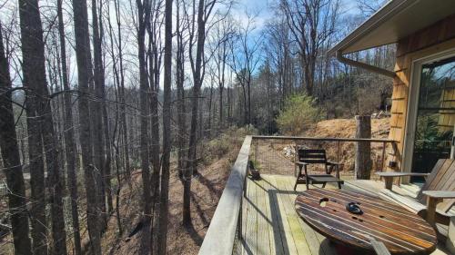 bracken_cabin_brevard_north_carolina_interior__13
