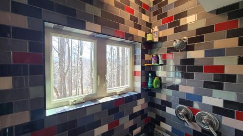 bracken_cabin_brevard_north_carolina_interior__19