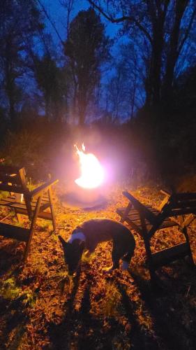 bracken_cabin_brevard_north_carolina_interior__24